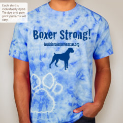 Be Boxer Strong
