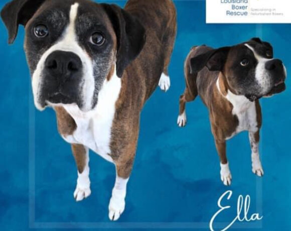 Ella – adopted!