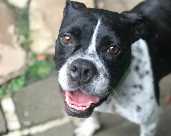 Bella